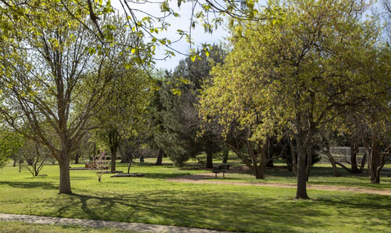 Lubbock Memorial Arboretum, United States